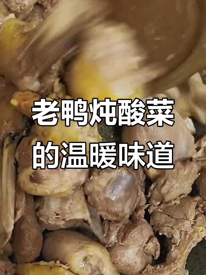 家乡味老鸭炖酸菜,满满一锅都是爱