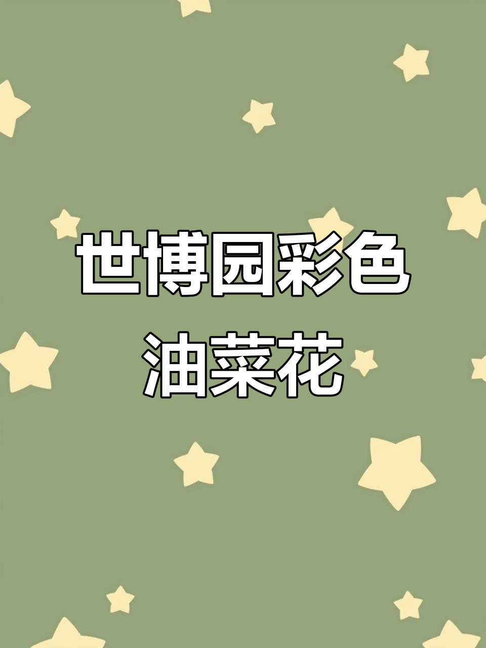 上海世博文化公园五彩油菜花海,春日必看美景