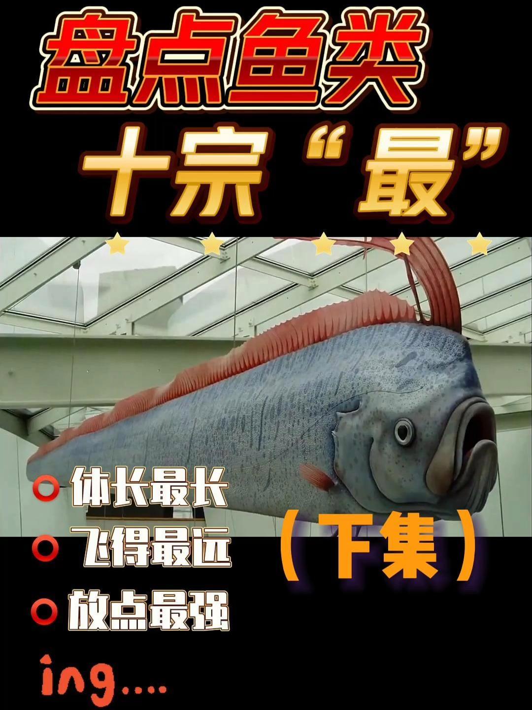 鱼类十宗“最”(下集)来啦!鱼也能飞,你知道?鱼类 科普 冷知识大全 神奇动物在抖音