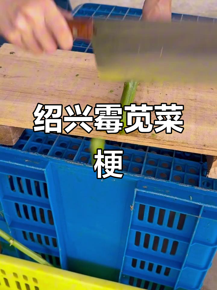 绍兴霉苋菜梗：夏日下饭神器，臭豆腐搭配更鲜嫩