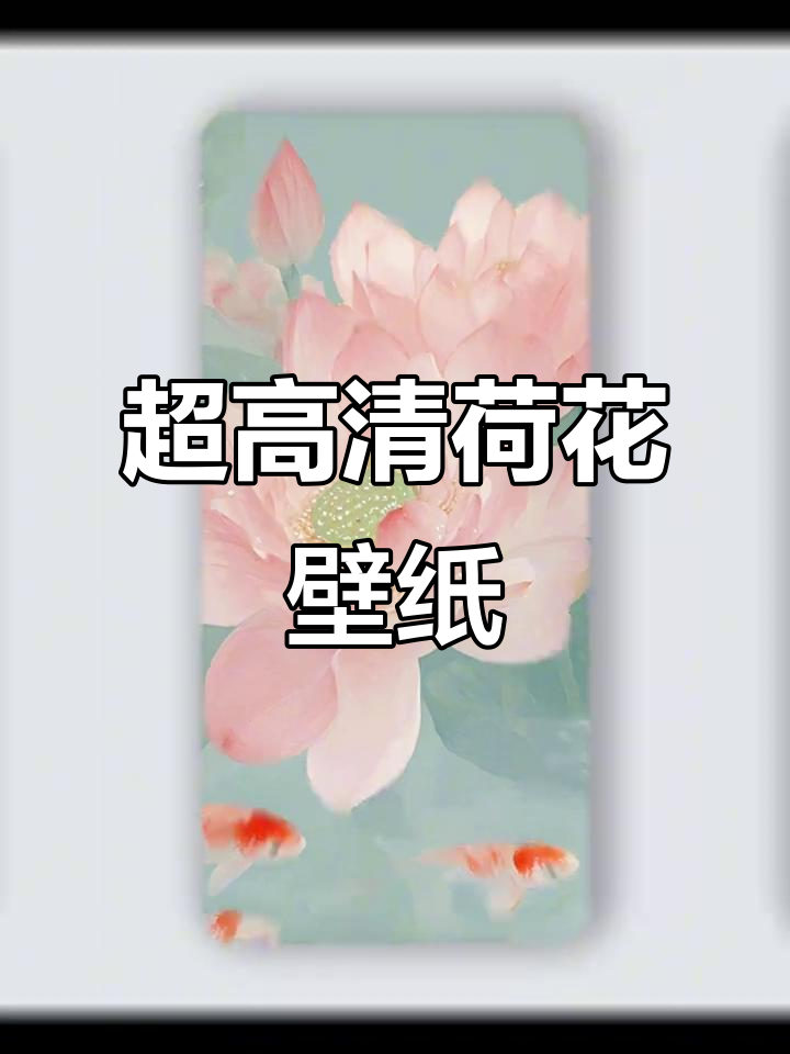 映日荷花,超清壁纸分享
