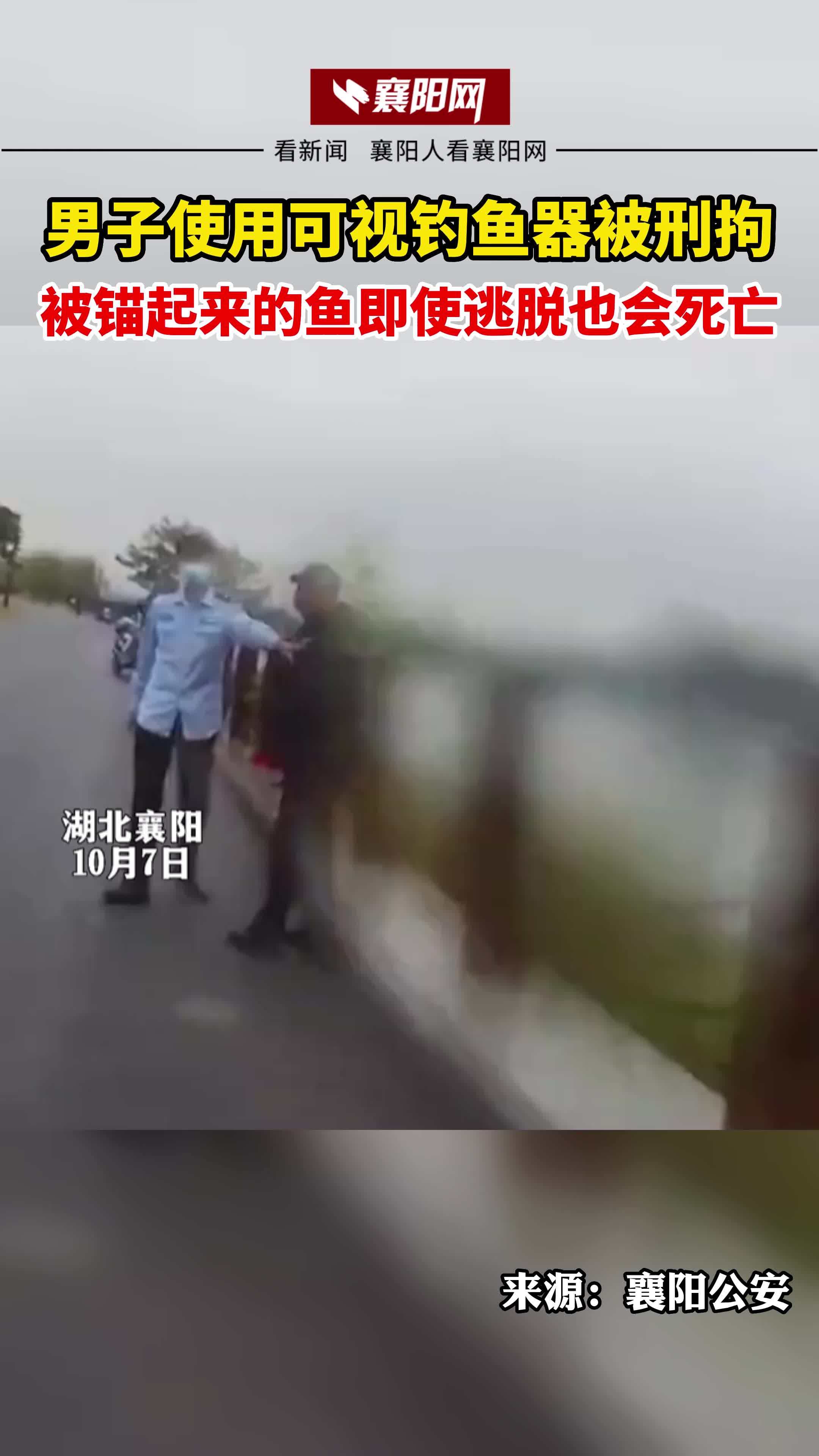 10月7日,湖北襄阳。男子使用可视钓鱼器被刑拘,被锚起来的鱼即使逃脱也会死亡
