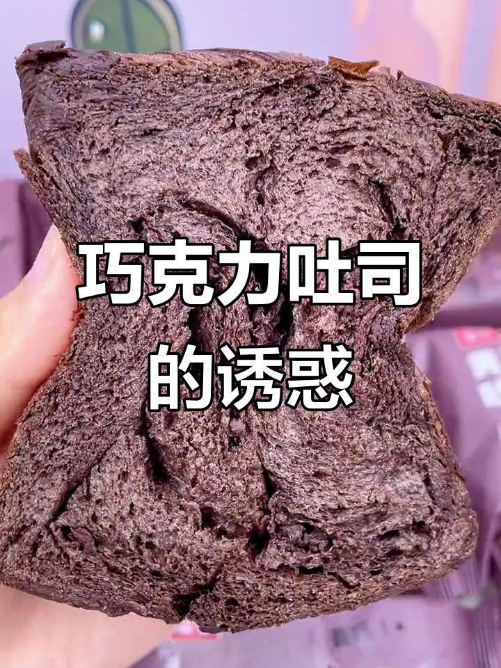 桃李巧克力吐司，软糯香浓，全家都爱！