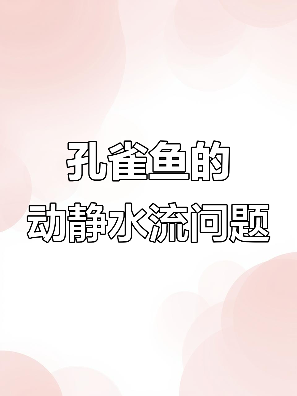 孔雀鱼适合静水还是动水？过滤选择技巧揭秘