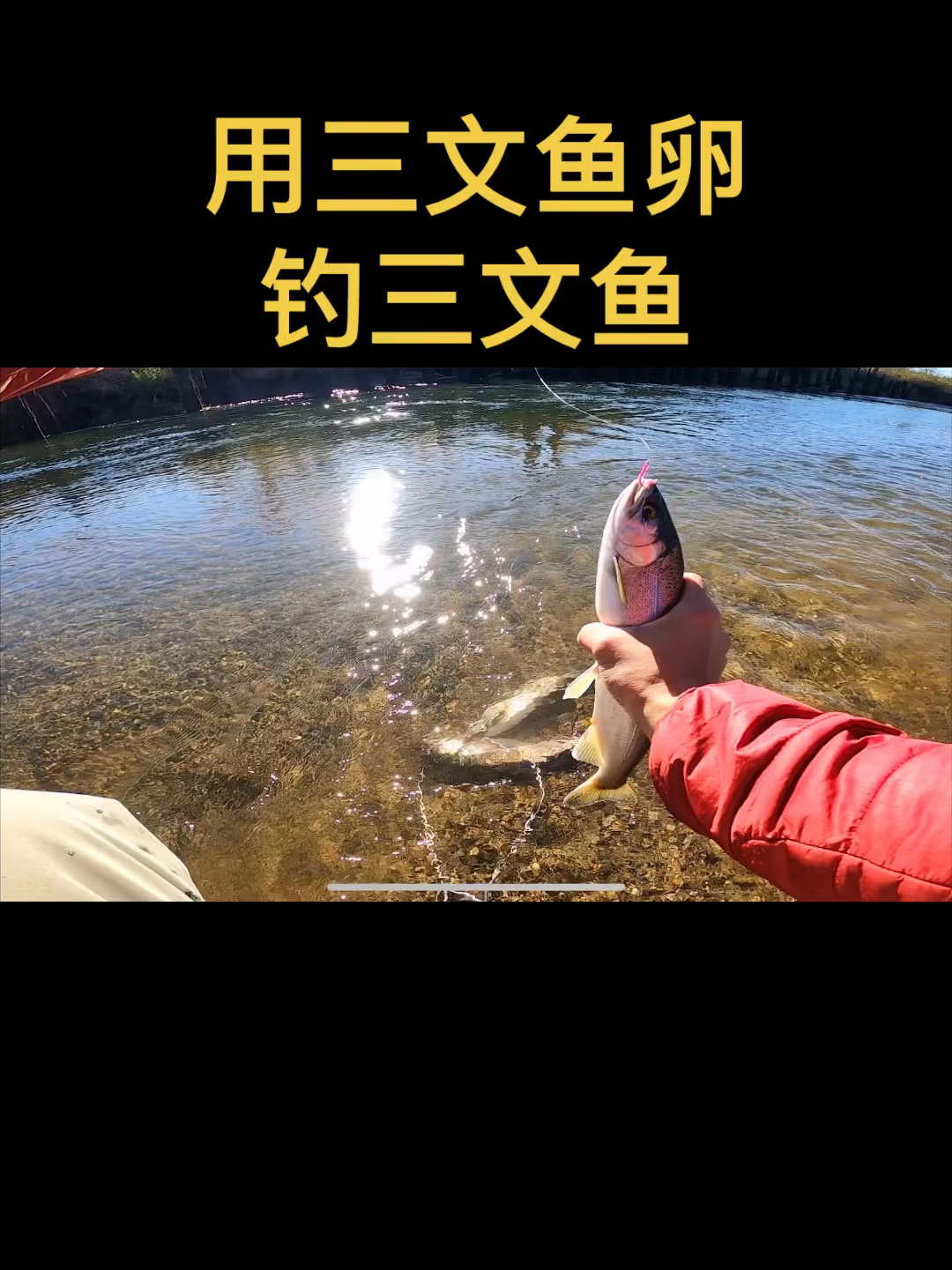 这是溪流钓三文鱼最好用的鱼饵