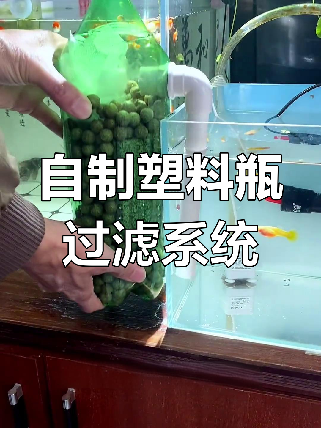 废旧汽水瓶变鱼缸过滤器,DIY教程大揭秘