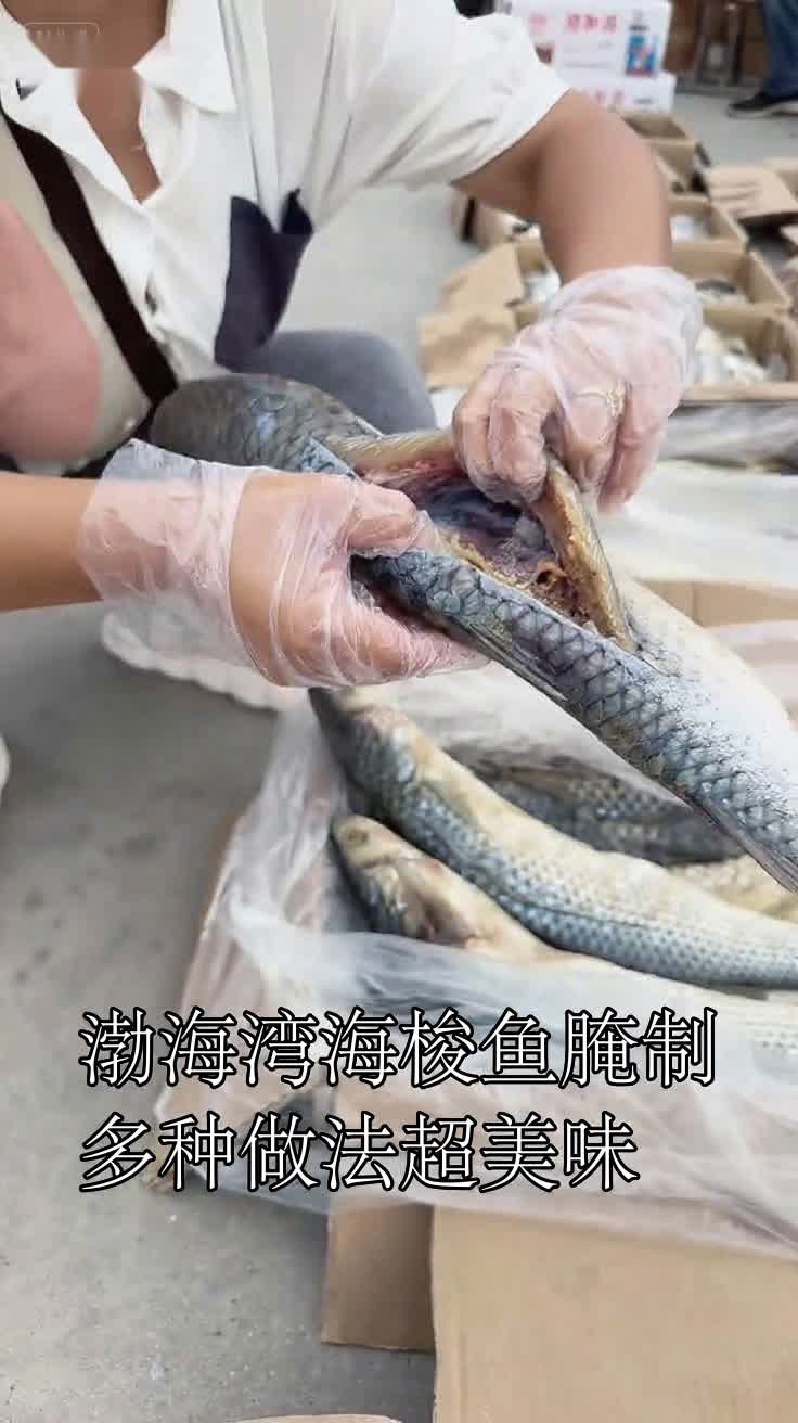 渤海湾海梭鱼腌制后，多种做法超美味