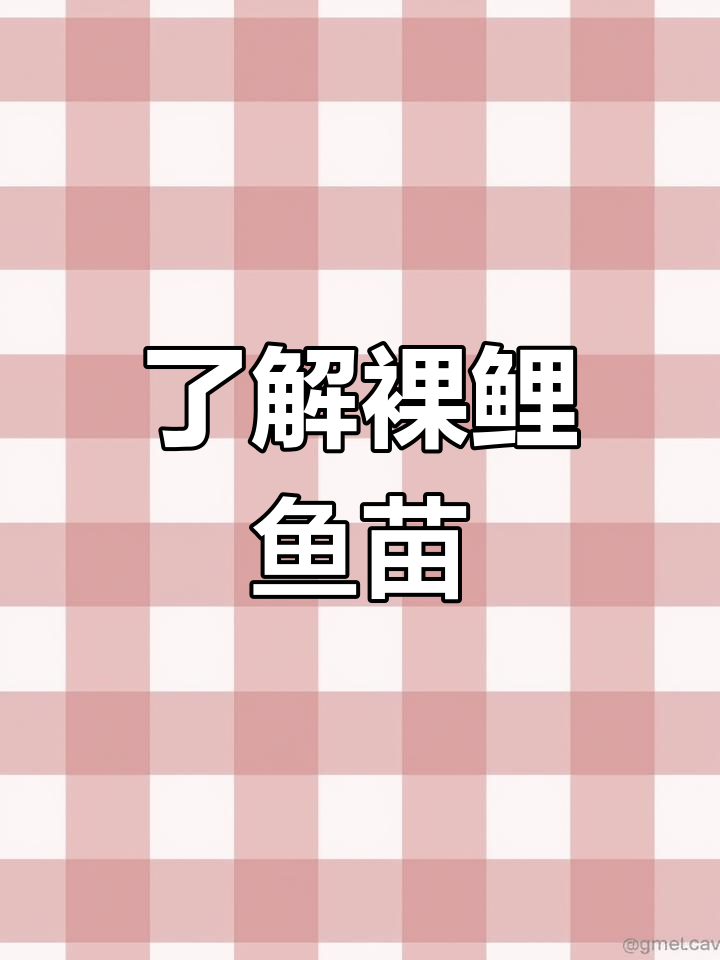裸鲤鱼苗的成长过程
