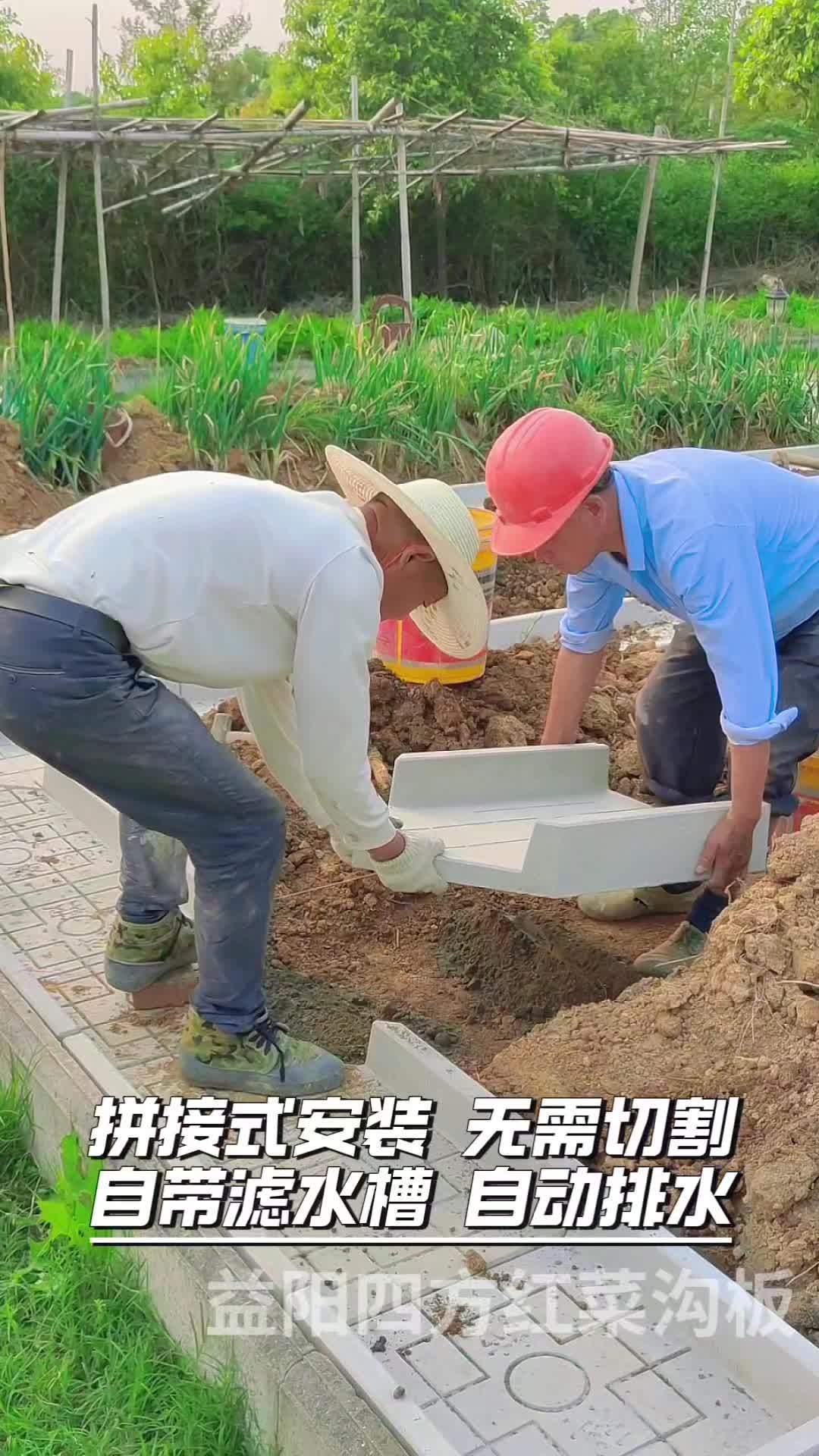 菜沟板 小院改造 庭院设计 乡村改造 菜园