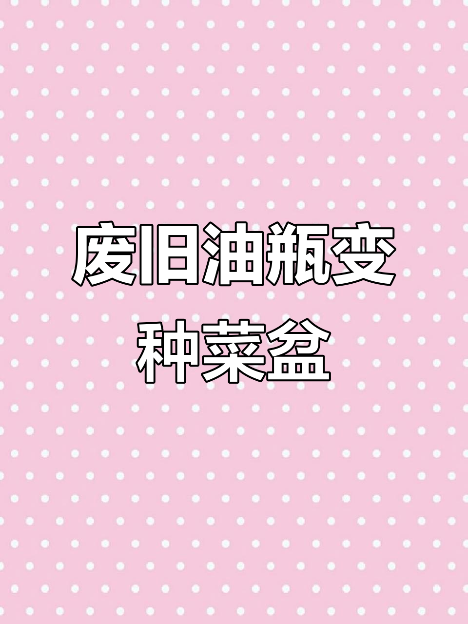 利用废油桶和矿泉水瓶打造免浇水花盆,简单又实用