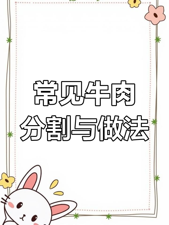 牛肉部位全解析,吃法大揭秘