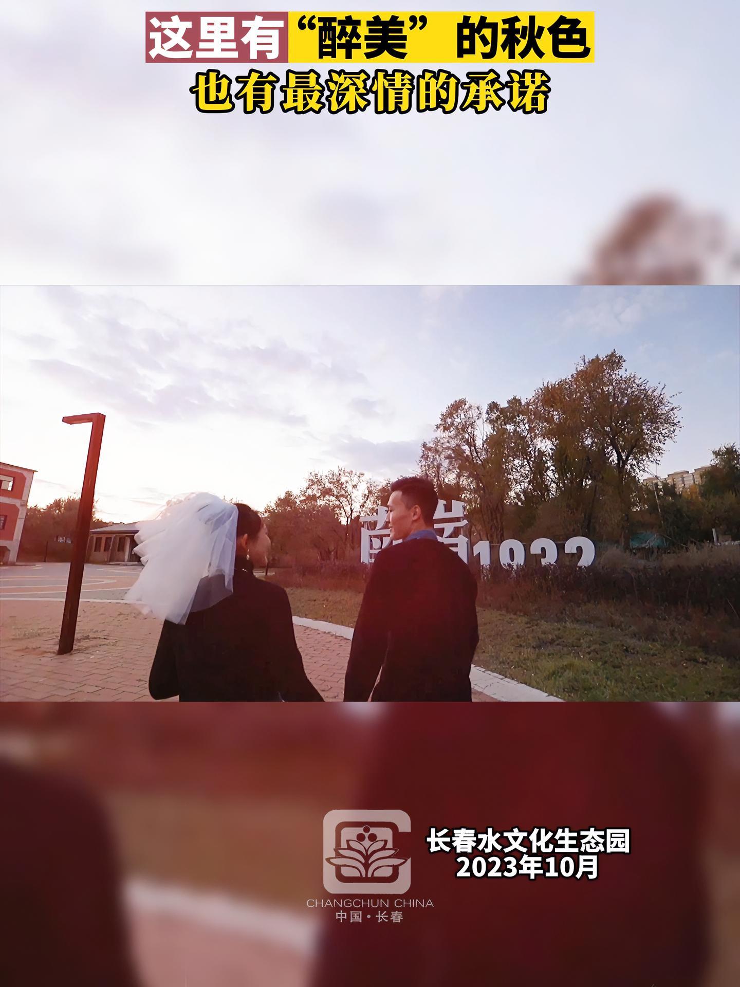 春城秋色随手拍 短视频展播13:这里有“醉美”的秋色也有最深情的承诺!长春市第八届网友节系