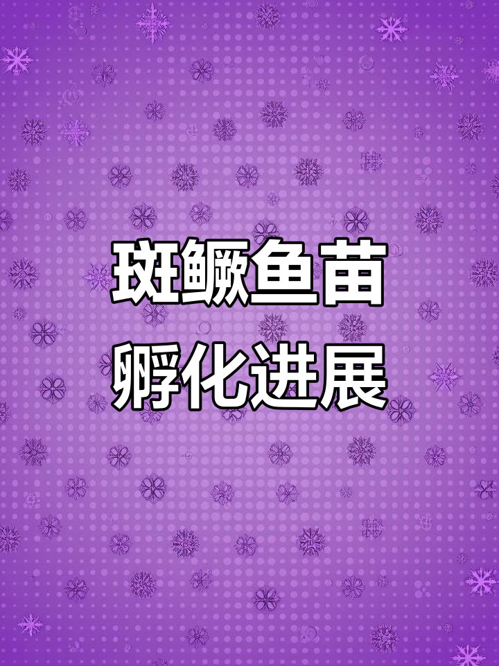 斑鳜鱼苗孵化全程记录,部分成功破壳的奇迹时刻
