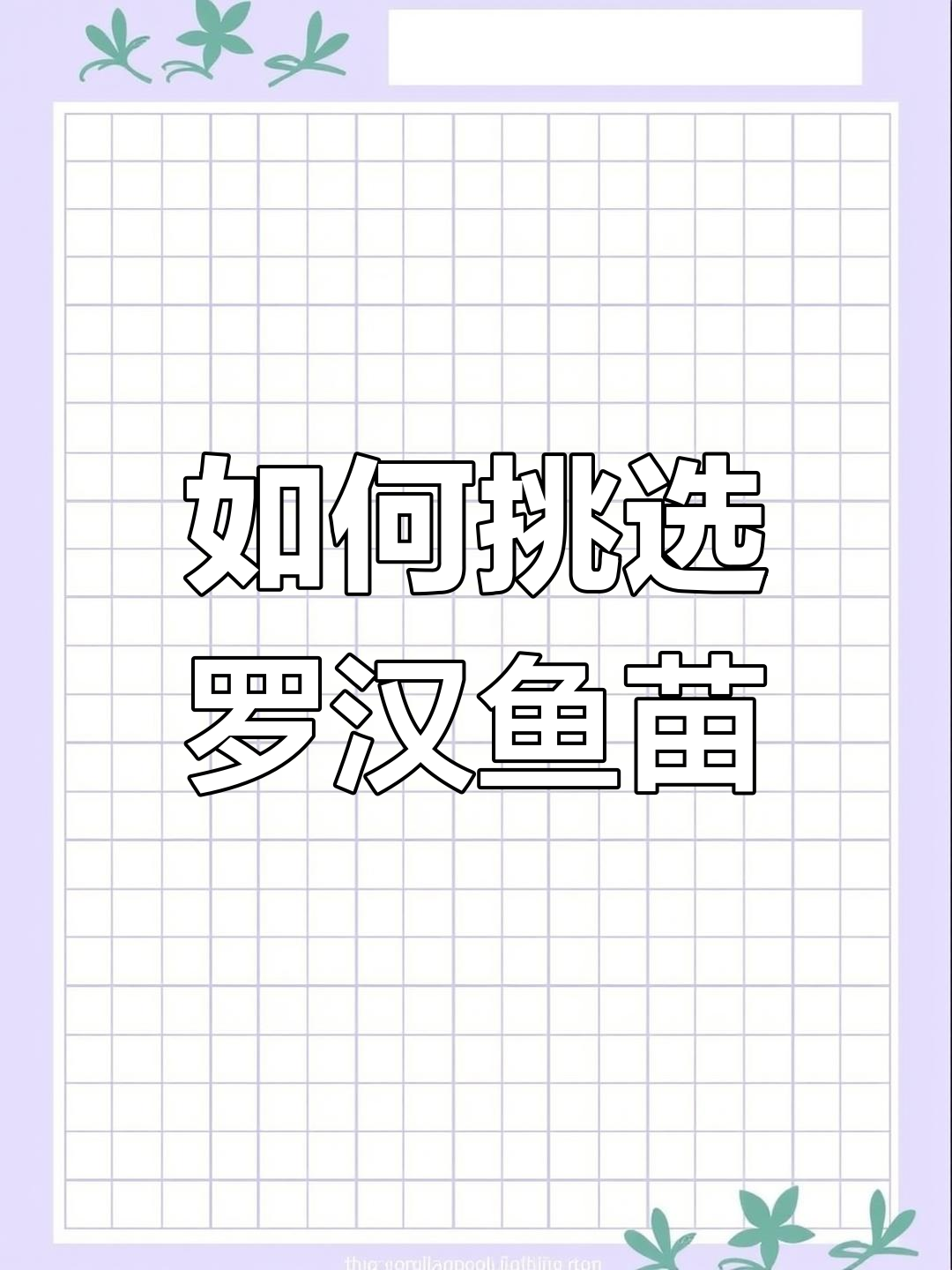 选鱼苗避坑指南:别只看短生,健康才是关键