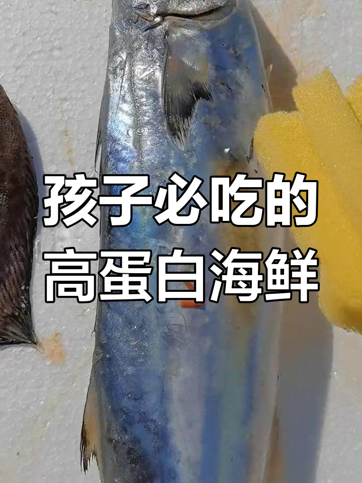 适合孩子吃的六种营养海鱼推荐