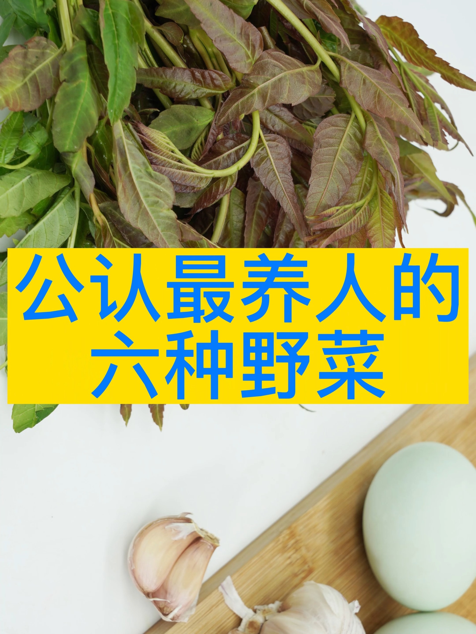 公认最养人的6种野菜最后一种你知道名字吗