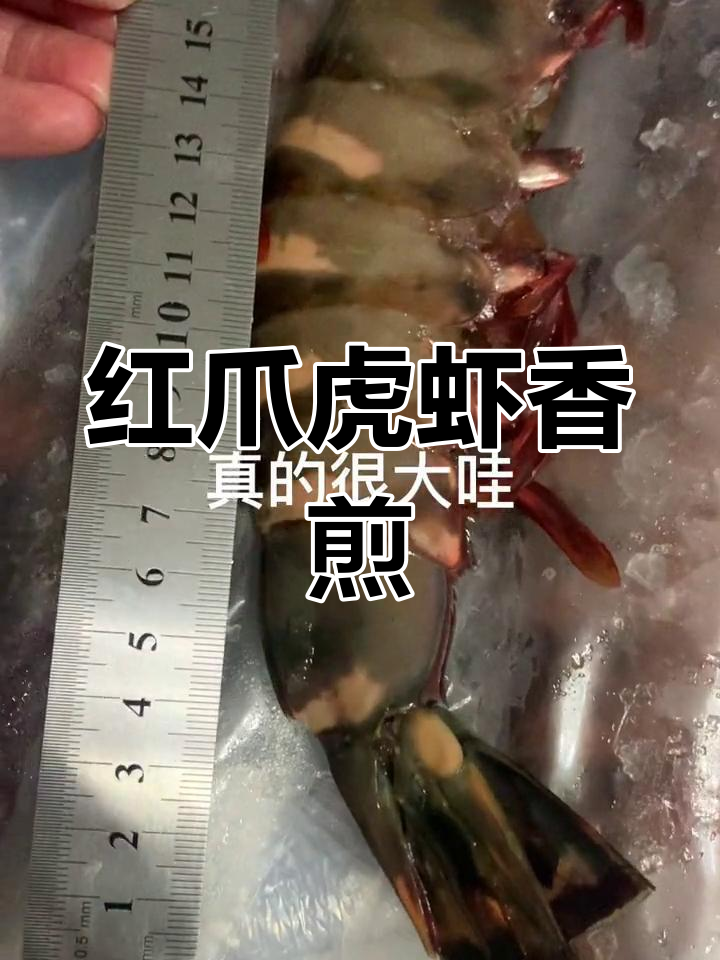 超大红爪虎虾香煎做法,简单两步搞定