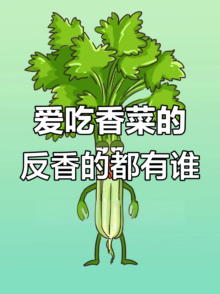 香菜爱与恨的全球对决：你站在哪一边？