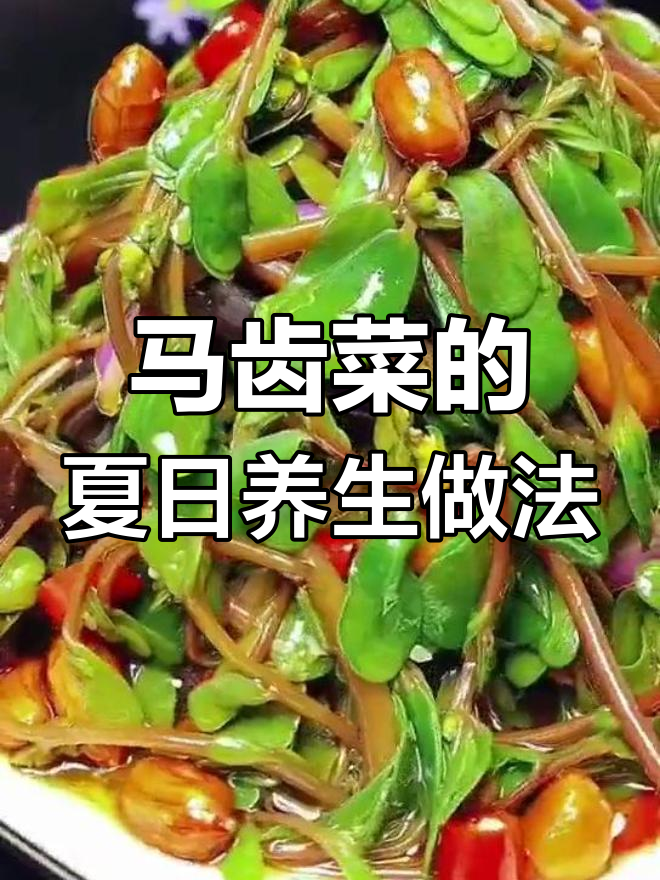 夏季必吃马齿菜,营养丰富又清热祛湿