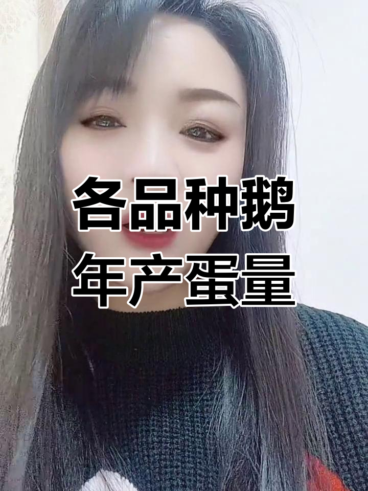 常见鹅种产蛋量对比,哪种最高产?