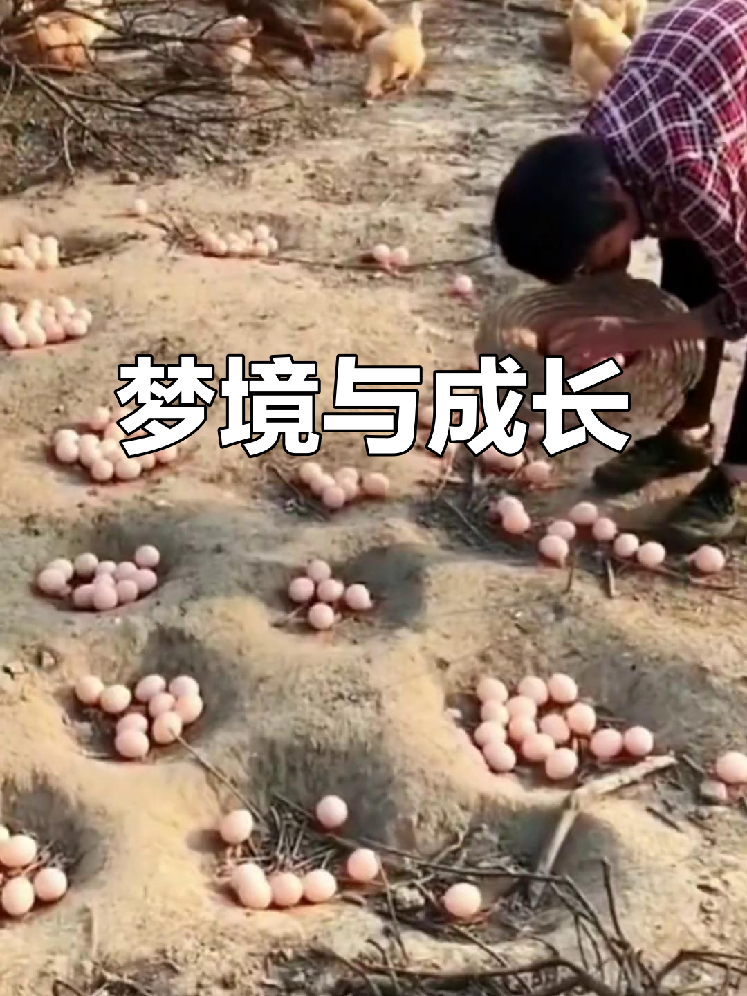小时候梦到捡鸡蛋,长大后总是梦见发财,你们有类似经历吗?