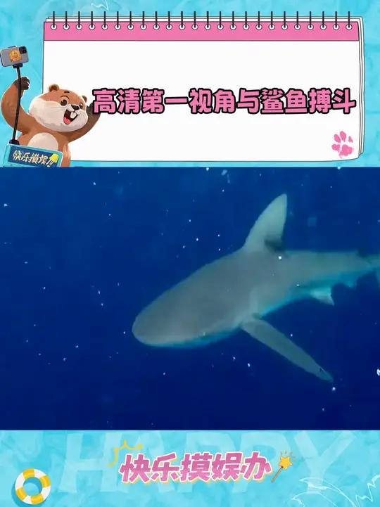 大白鲨3也没你这精彩啊