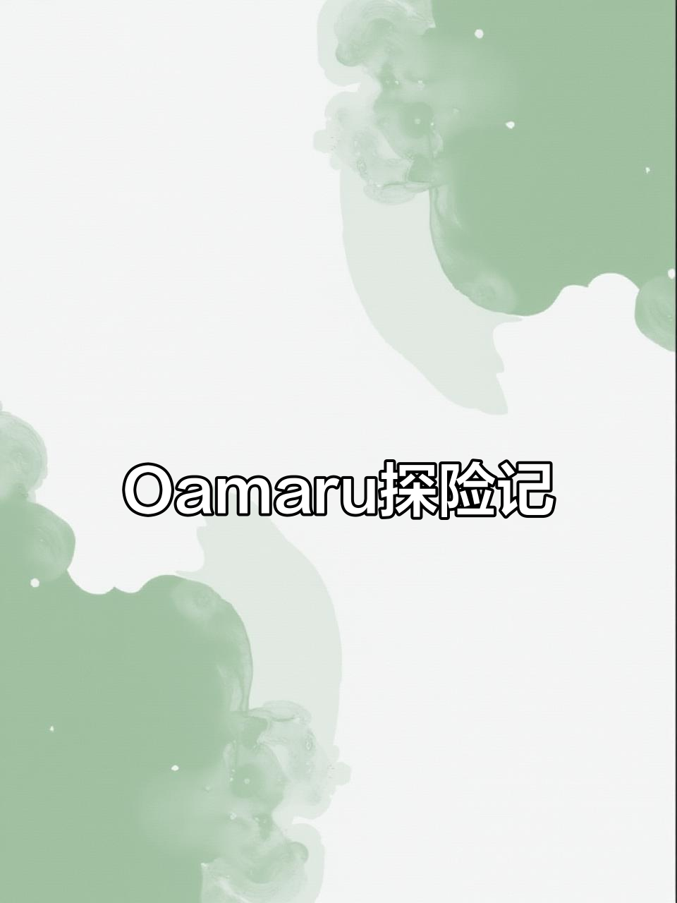 半天游遍Oamaru，探索蒸汽朋克、海狮与小企鹅的奇妙之旅