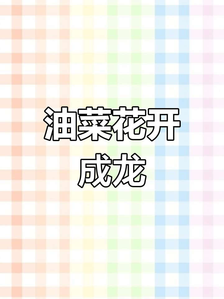 安顺油菜花海现巨龙盘旋