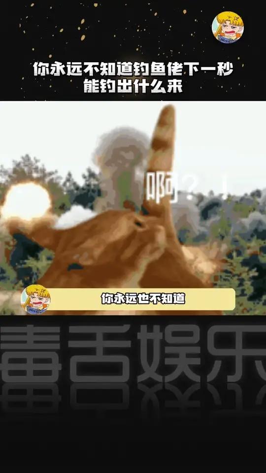 钓鱼佬好不容易不空军了 结果钓了个空军