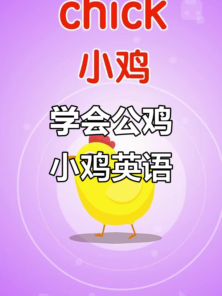公鸡、母鸡和小鸡的英文单词，快来学！