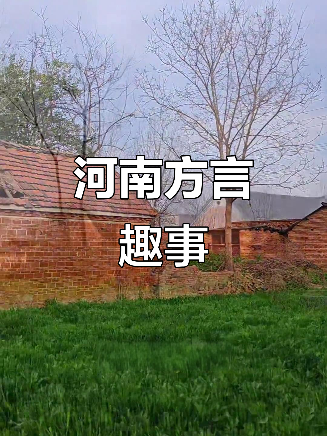 河南方言趣谈:赶集、噘人,饺子叫扁食,老乡们懂吗?