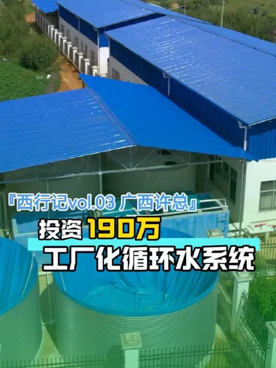 「西行记vol.3广西许总」投资190万的工厂化循环水系统,养加州鲈鱼和赤眼鳟,你们觉得这