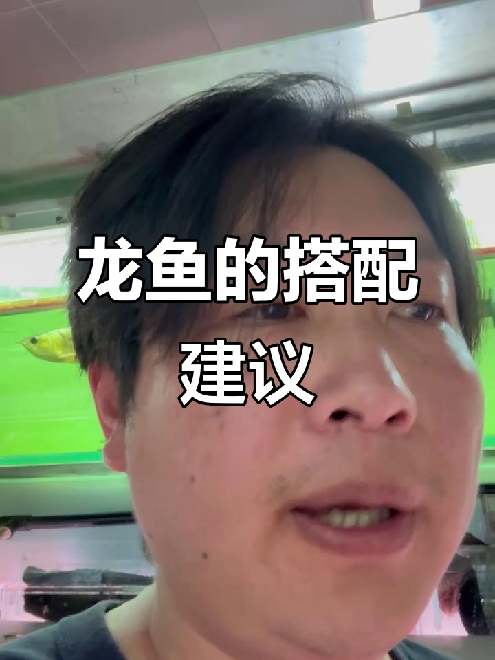 龙鱼配什么鱼最合适？推荐几种适合的伴侣