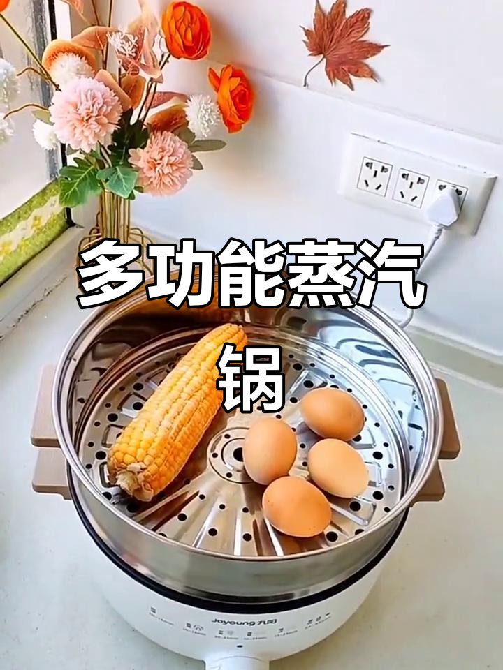 这款蒸汽锅功能全面,炖煮火锅一锅搞定!