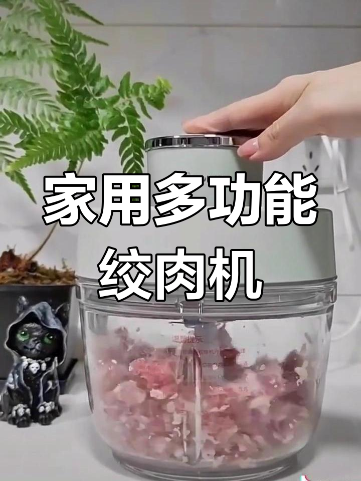 小熊绞肉机,家用全自动,粗细可调,轻松打馅料理