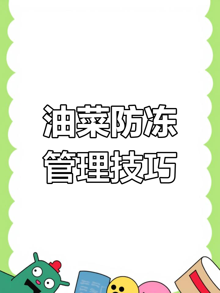 寒潮来袭,如何应对油菜冻害?这些管理技巧帮你减轻损失