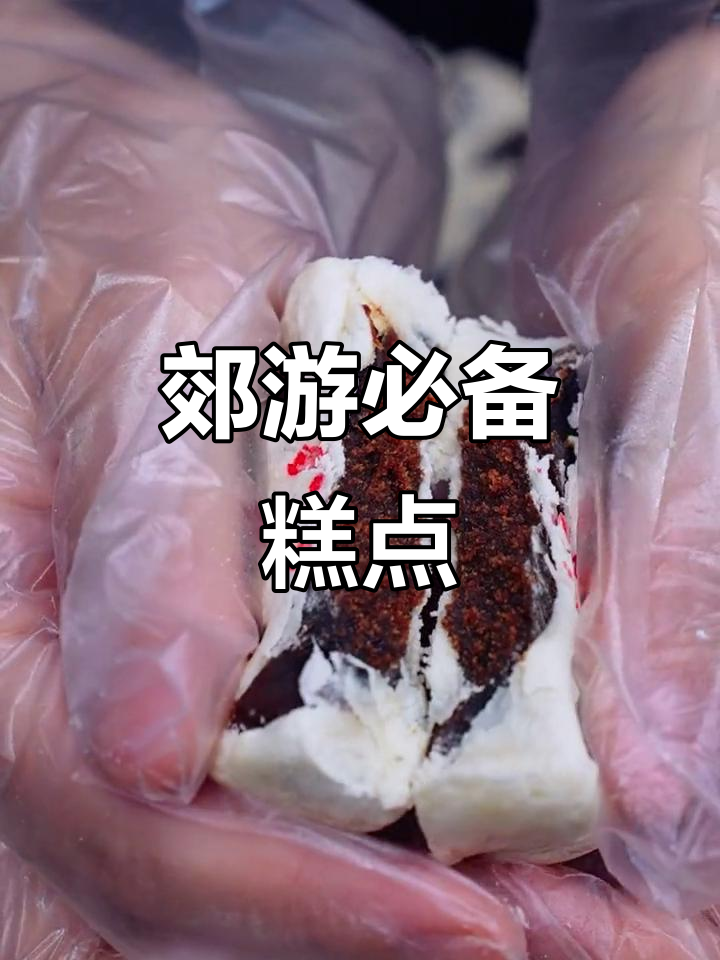 郊游必备,稻香村糕点顺丰直送,方便又美味!