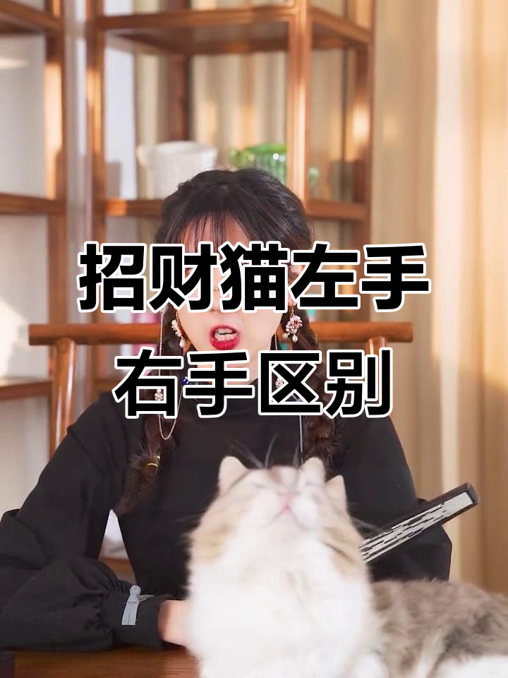 招财猫的左右手秘密,你家放对了吗?