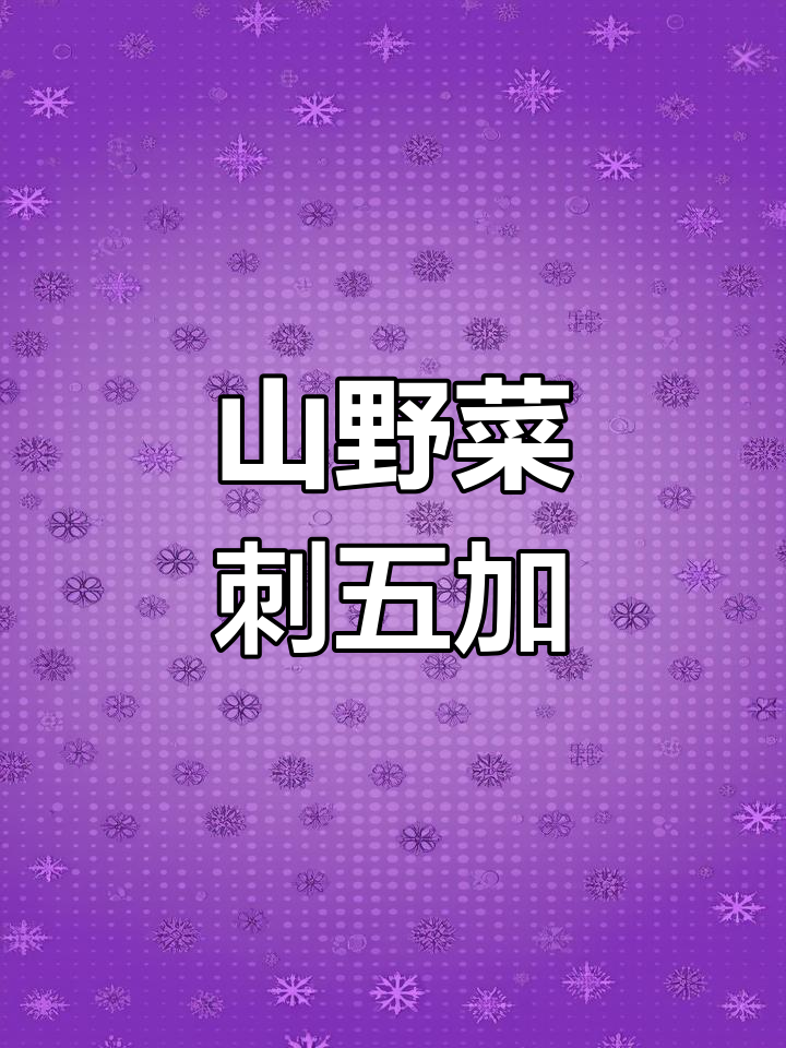 刺五加山野菜大丰收,胖嘟嘟的让人爱不释手