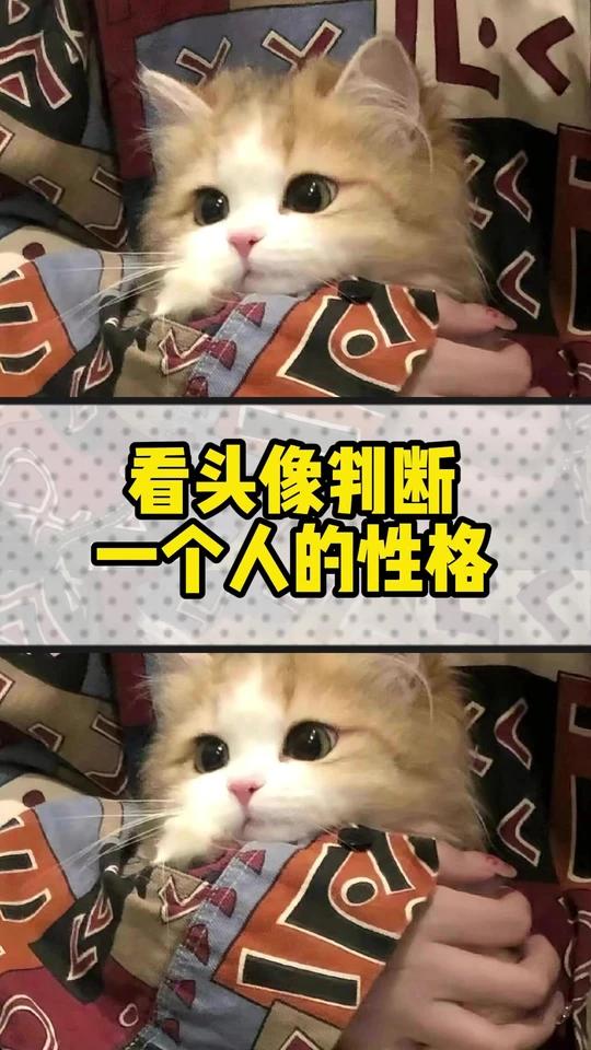 看头像判断一个人的性格
