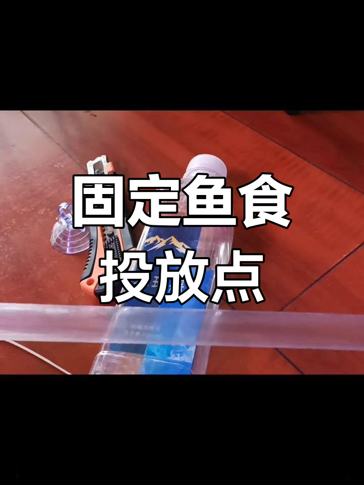 自制鱼缸喂食器,防止食物乱飘