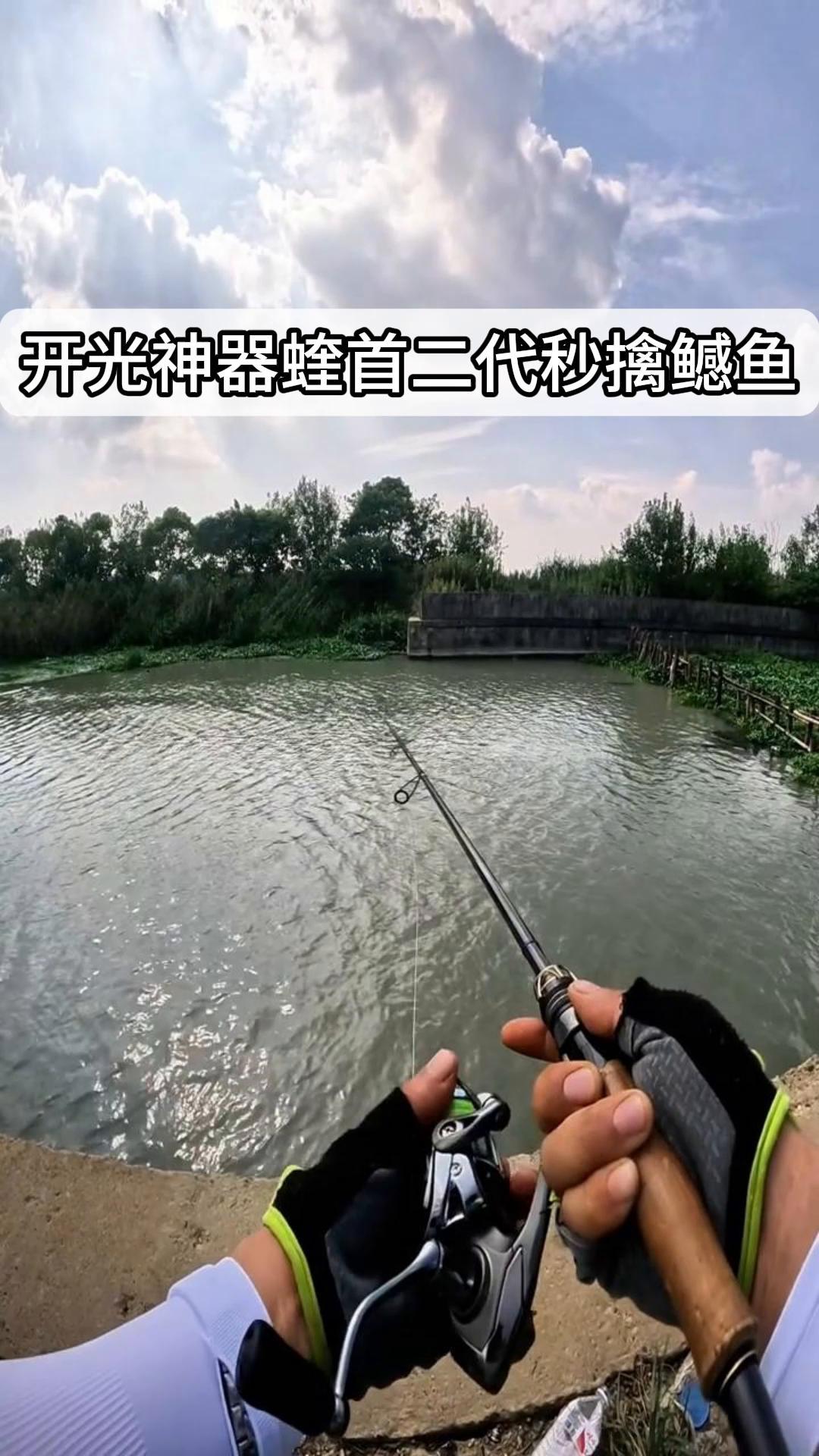 开光神器蝰首二代秒擒鳡鱼