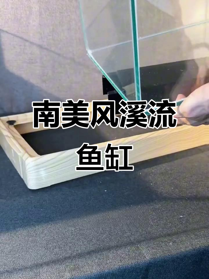 南美溪流鱼缸,超清玻璃桌面造景,打造原生生态体验