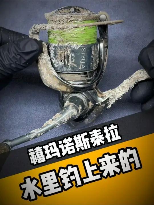 在水里钓到的禧玛诺斯泰拉?抢救完会是什么样!#斯泰拉保养维修 #禧玛诺斯泰拉 #渔轮维修保