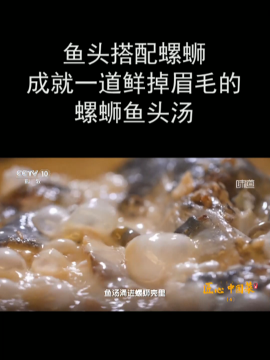 鱼头搭配螺蛳 成就一道鲜掉眉毛的螺蛳鱼头汤