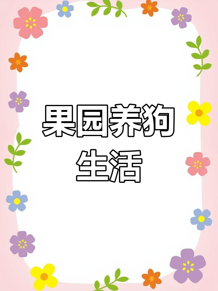 肉狗养殖现场实拍