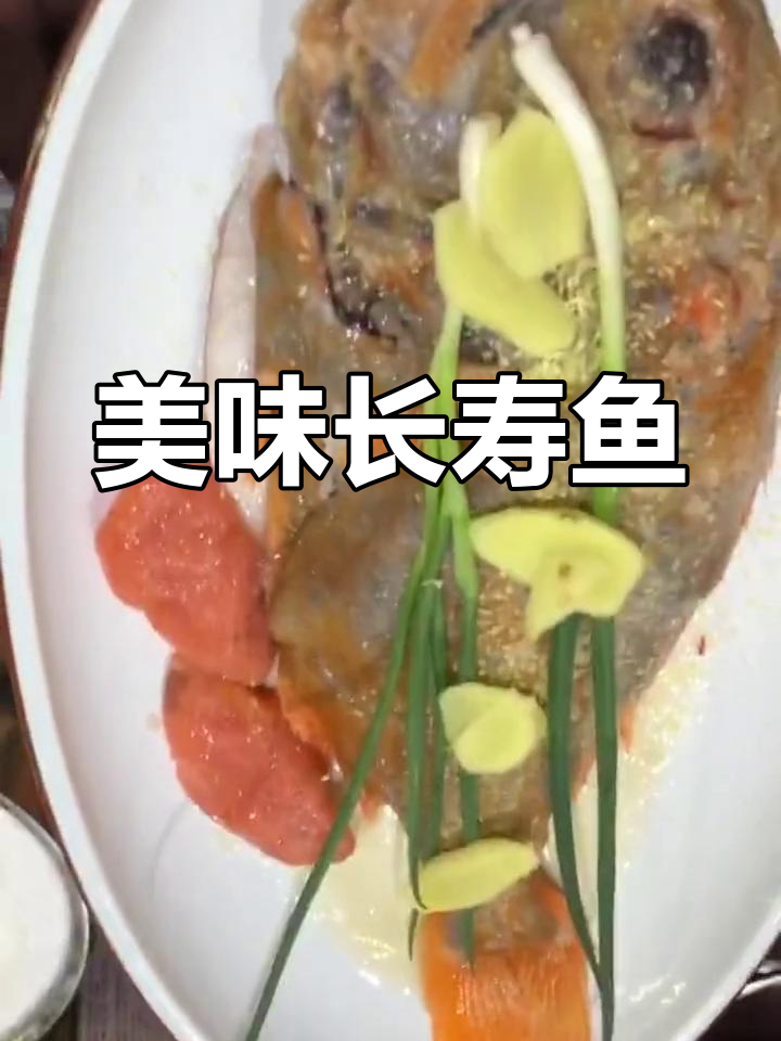 上海普陀区必试清蒸长寿鱼,鲜美十足!