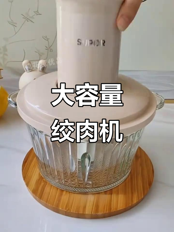苏泊尔绞肉机,大容量快速搅拌,包饺子包子必备神器!