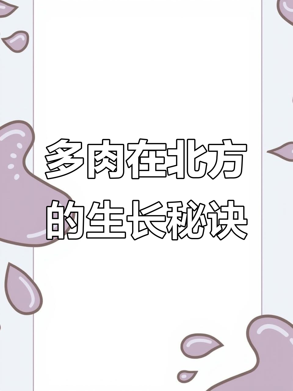 北方也能种好多肉植物,掌握这些养护技巧!