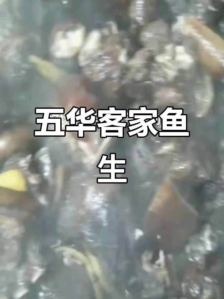 五华客家鱼生:美味与亲情的完美结合